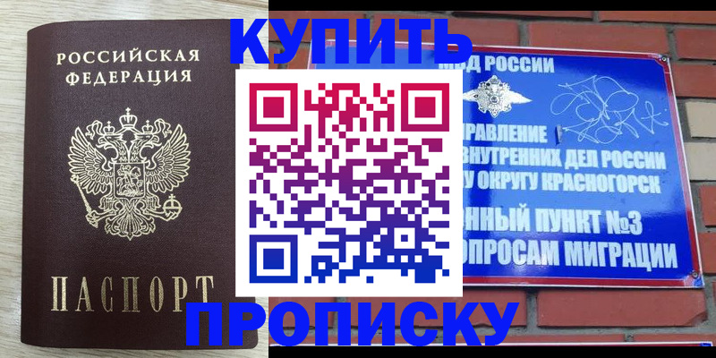 прописка гарантия в Ярославской области